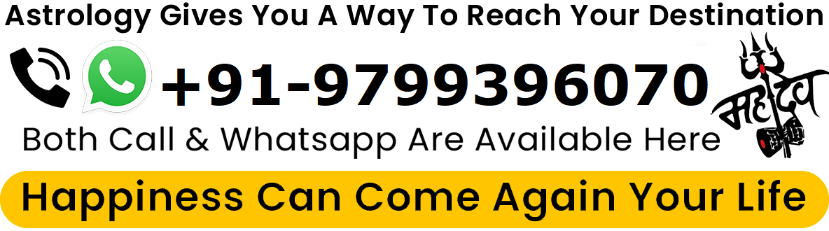 Vishvajeet Shastri Ji Call Now +91-9799396070